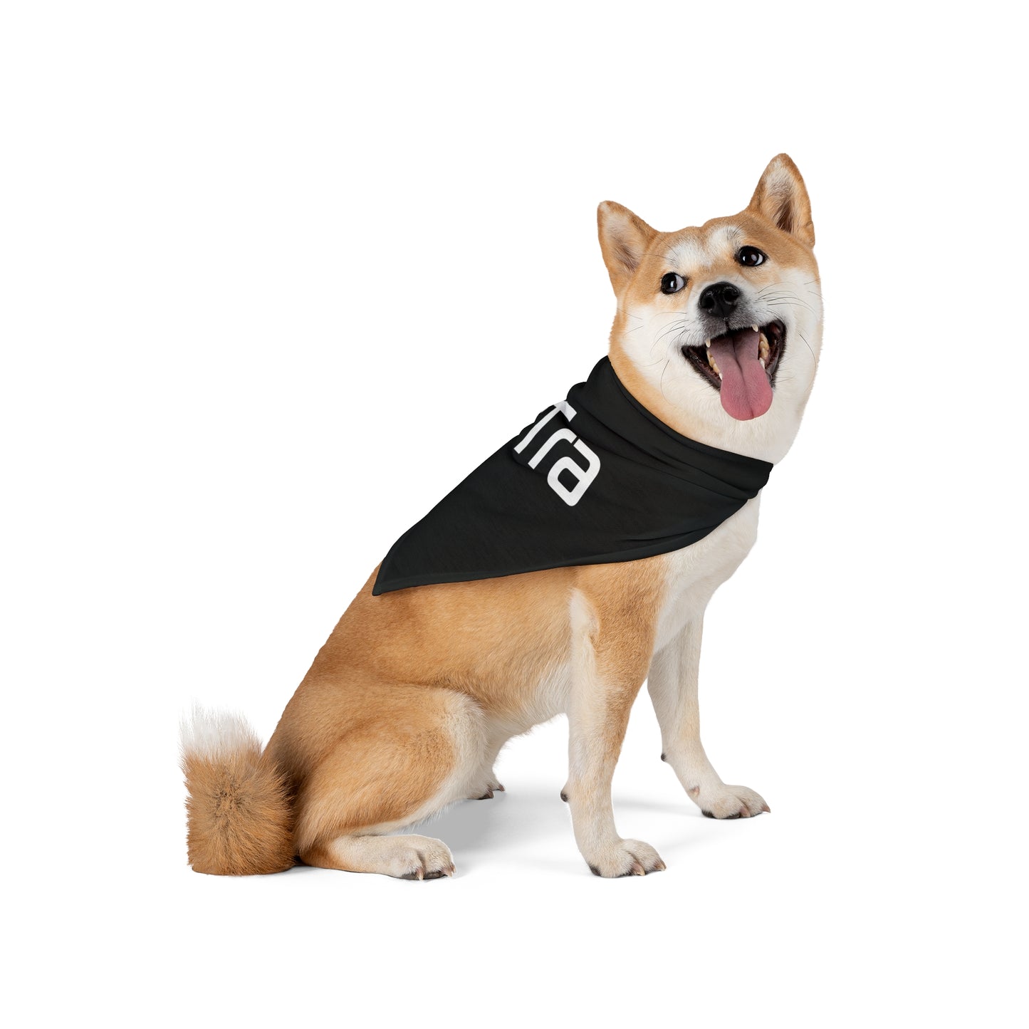 Pet Bandana