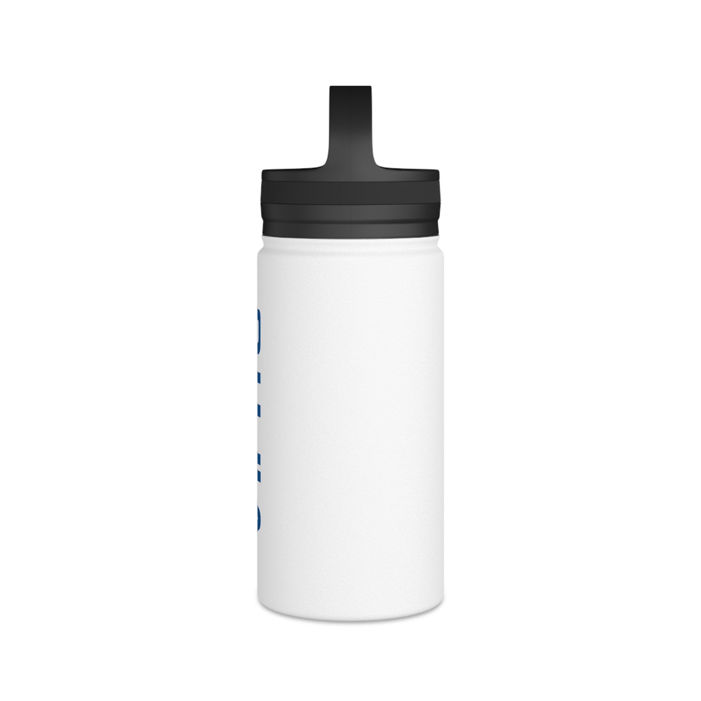 Stainless Steel Water Bottle, Handle Lid
