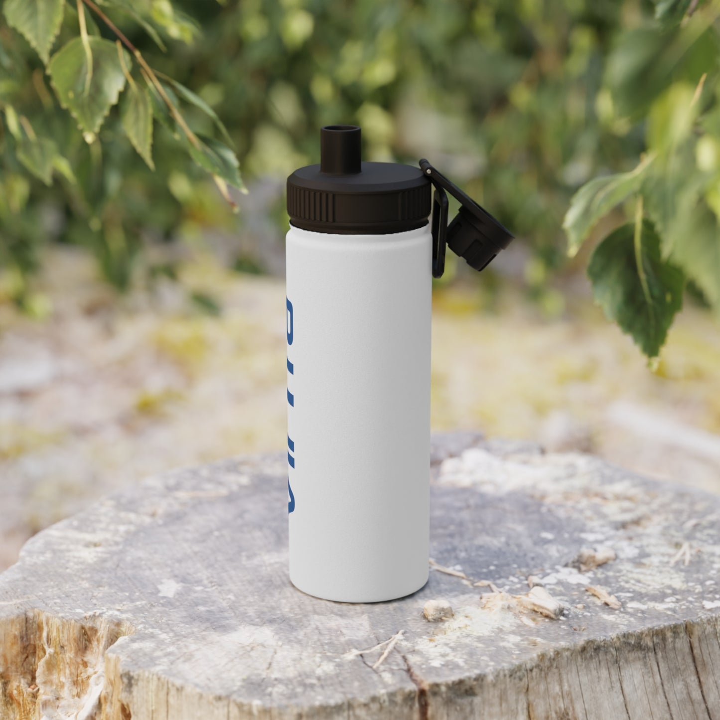 Stainless Steel Water Bottle, Sports Lid