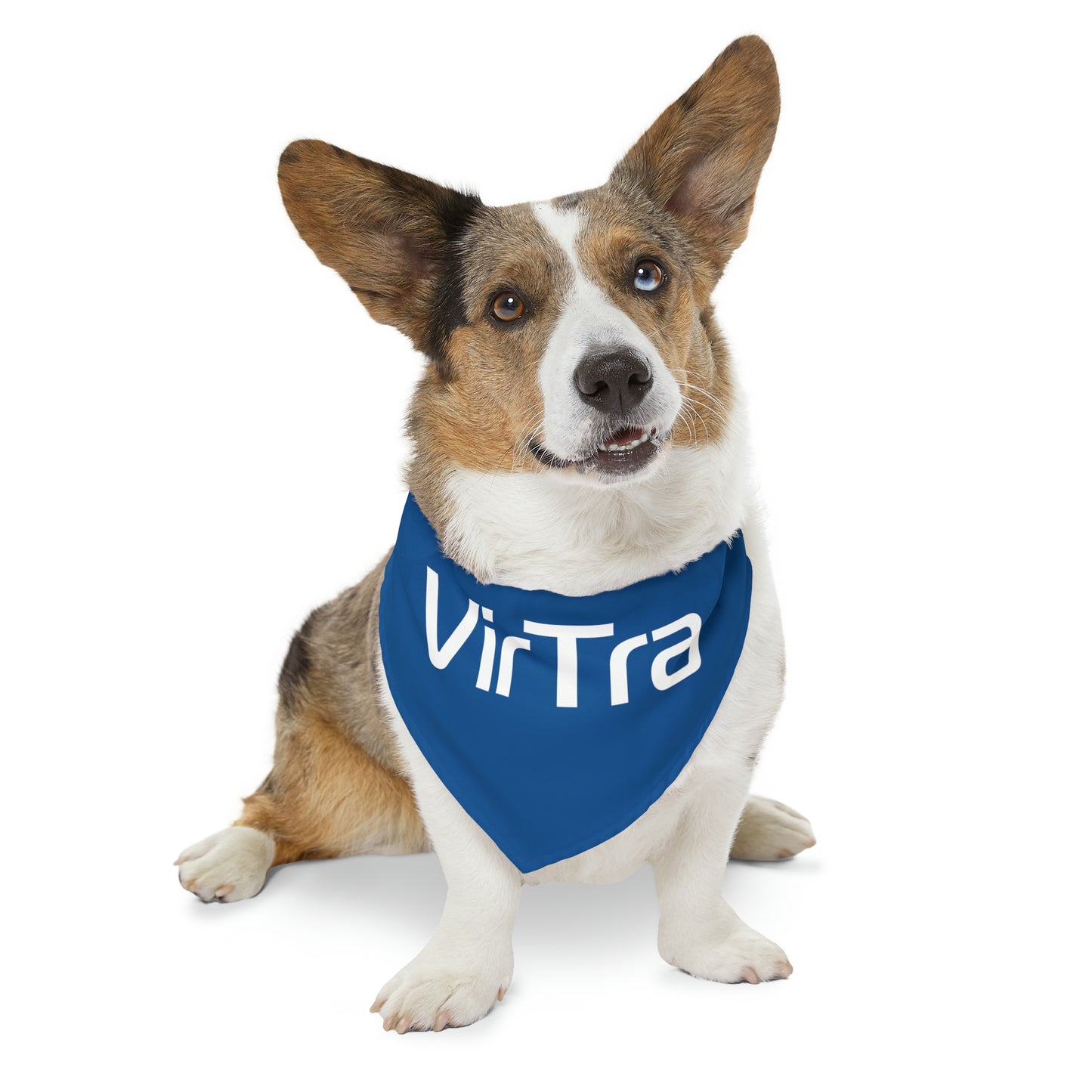 Pet Bandana Collar