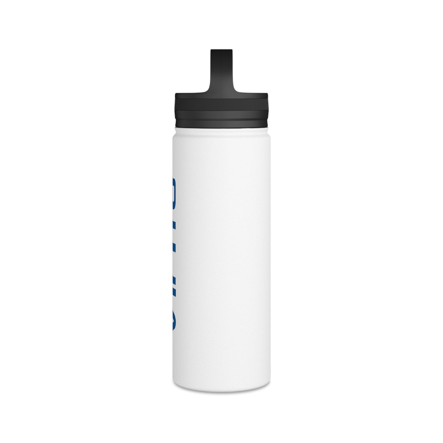 Stainless Steel Water Bottle, Handle Lid