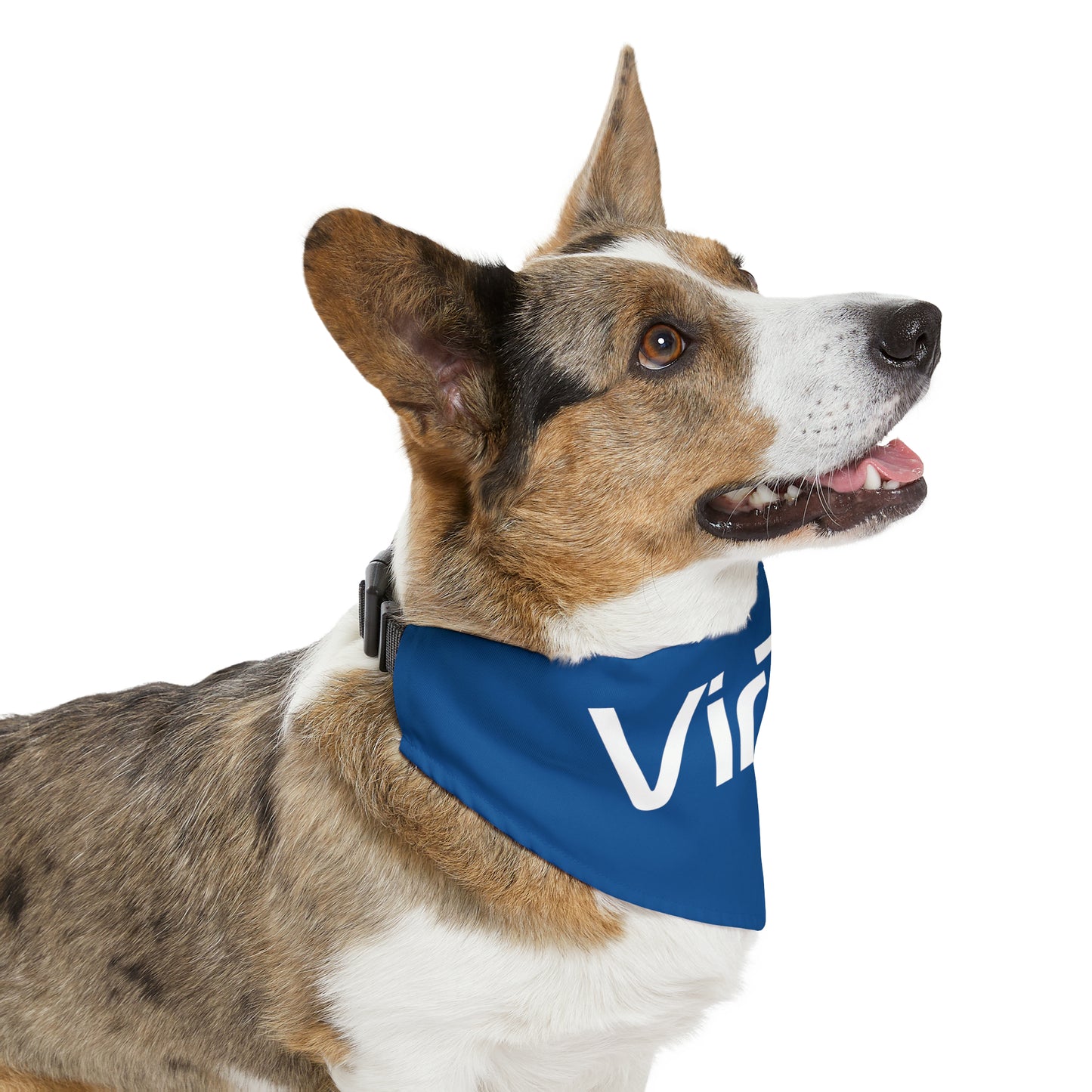 Pet Bandana Collar