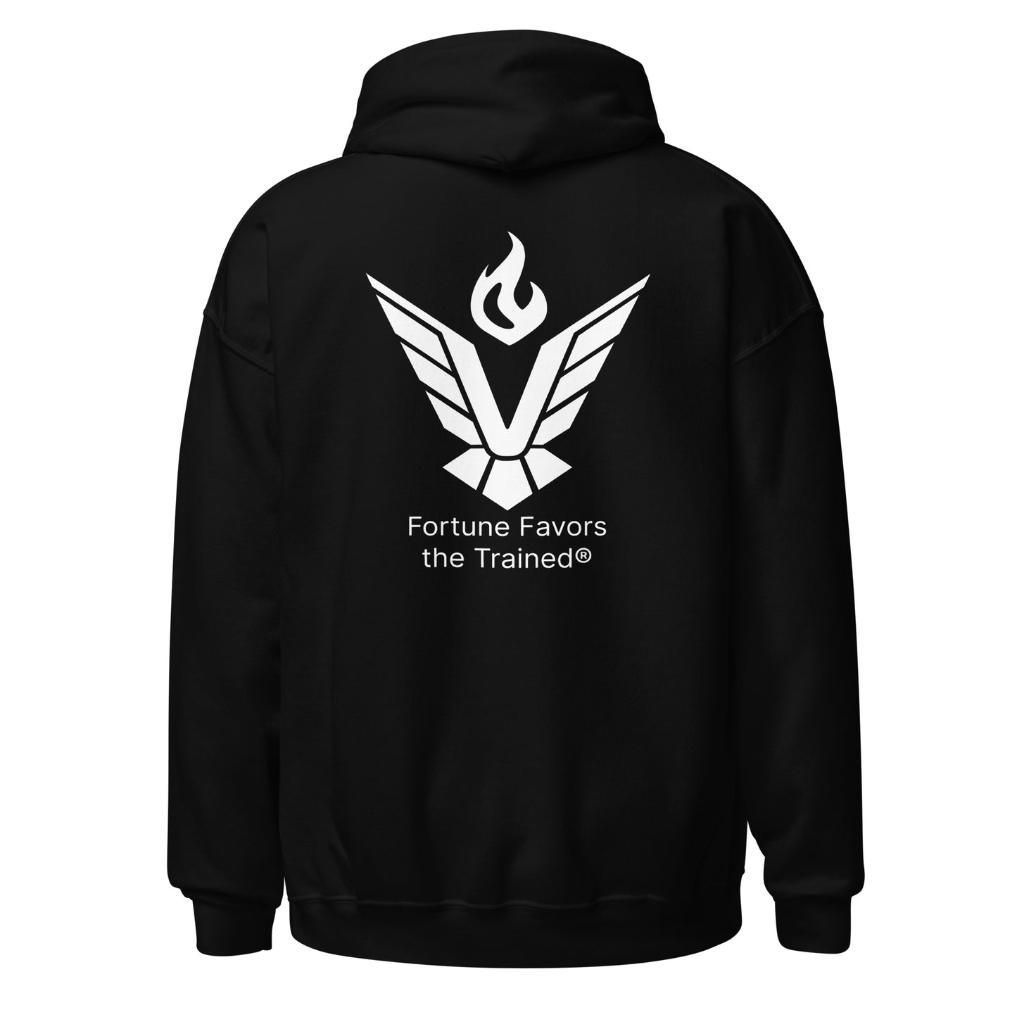 VirTra Unisex Classic Hoodie (double sided)
